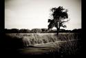 Vignette • Photo effects screenshot 3