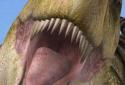 Talking Rex the Dinosaur screenshot 3
