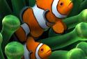 Sim Aquarium screenshot 1