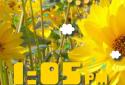Weather Flow ! Live Wallpaper screenshot 16