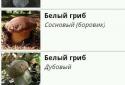Гриб. Довідник screenshot 1