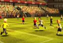 Striker Soccer Euro 2012 Pro screenshot 2