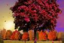 Autumn Trees Live Wallpaper screenshot 10 Autumn Trees Live Wallpaper screenshot 10