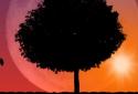 Autumn Trees Live Wallpaper screenshot 12 Autumn Trees Live Wallpaper screenshot 12