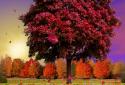 Autumn Trees Live Wallpaper screenshot 15 Autumn Trees Live Wallpaper screenshot 15