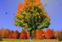 Autumn Trees Live Wallpaper screenshot 3 Autumn Trees Live Wallpaper screenshot 3