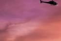 Racing Cars -LIVE- Wallpaper screenshot 8