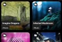 Poweramp Music Player (Trial) screenshot 6