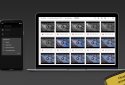 tinyCam Monitor PRO screenshot 14