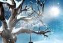 My Season Tree PRO screenshot 1