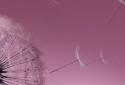 Galaxy S3 Pink Live Wallpaper screenshot 4