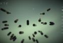 Splice screenshot 6
