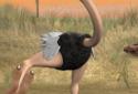 Talking Joe Ostrich screenshot 5