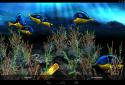 My 3D Fish II screenshot 13