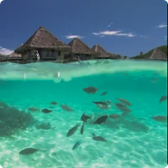 Lagoon Waves Live Wallpaper HD