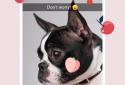 Cymera — редактор красивых screenshot 6