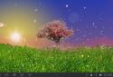 Spring Trees Live Wallpaper screenshot 6 Spring Trees Live Wallpaper screenshot 6