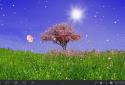 Spring Trees Live Wallpaper screenshot 7 Spring Trees Live Wallpaper screenshot 7