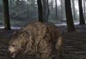 Pocket Bear 3D screenshot 12