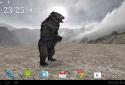 Pocket Bear 3D screenshot 14