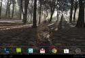 Pocket Bear 3D screenshot 16