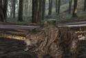Pocket Bear 3D screenshot 7