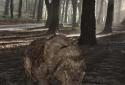 Pocket Bear 3D screenshot 8