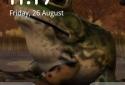 3D Animated Toad LWP screenshot 2