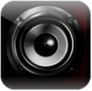 Динамік на екрані / screen Speaker