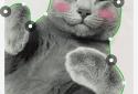 LINE Camera - Photo editor screenshot 7