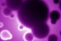 Osmosis Live Wallpaper screenshot 4