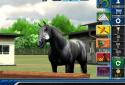 iHorse Racing: free horse racing game screenshot 10