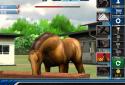 iHorse Racing: free horse racing game screenshot 11