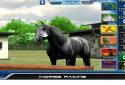 iHorse Racing: free horse racing game screenshot 6