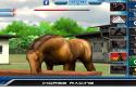 iHorse Racing: free horse racing game screenshot 7
