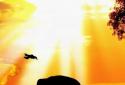 African Sunset LiveWallpaper screenshot 1