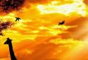 African Sunset LiveWallpaper screenshot 3