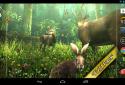 Forest HD screenshot 17
