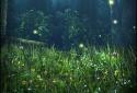 Forest HD screenshot 4