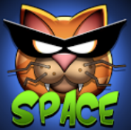GDC 13 - Angry Cats Space