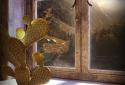 My Log Home 3D Live wallpaper screenshot 2 My Log Home 3D Live wallpaper screenshot 2