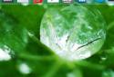 Ely's Launcher screenshot 2