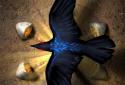 The Path of Kara screenshot 7