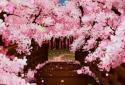 Puente de Sakura Fondo Animado screenshot 2