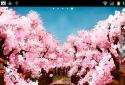 Puente de Sakura Fondo Animado screenshot 4