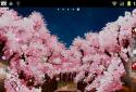 Puente de Sakura Fondo Animado screenshot 6