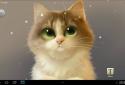 Tummy The Kitten screenshot 6