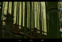 Bamboo Forest 3D Live Wallpaper screenshot 3