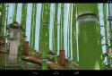 Bamboo Forest 3D Live Wallpaper screenshot 4