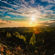 Sunny Mountain Live Wallpaper